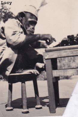 image of individual