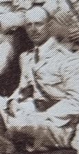 image of individual